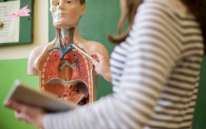 Anatomy and Physiology, Semester 1 - Accelerate