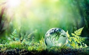 Environmental Science Class