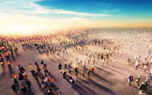 Sociology - Accelerate