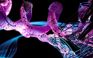 Chemistry Q1 - Launch