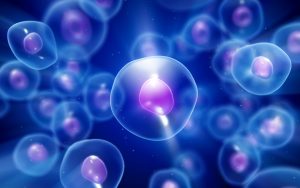 GSCI 031: Seventh-Grade Science, Part 1 - Middle School